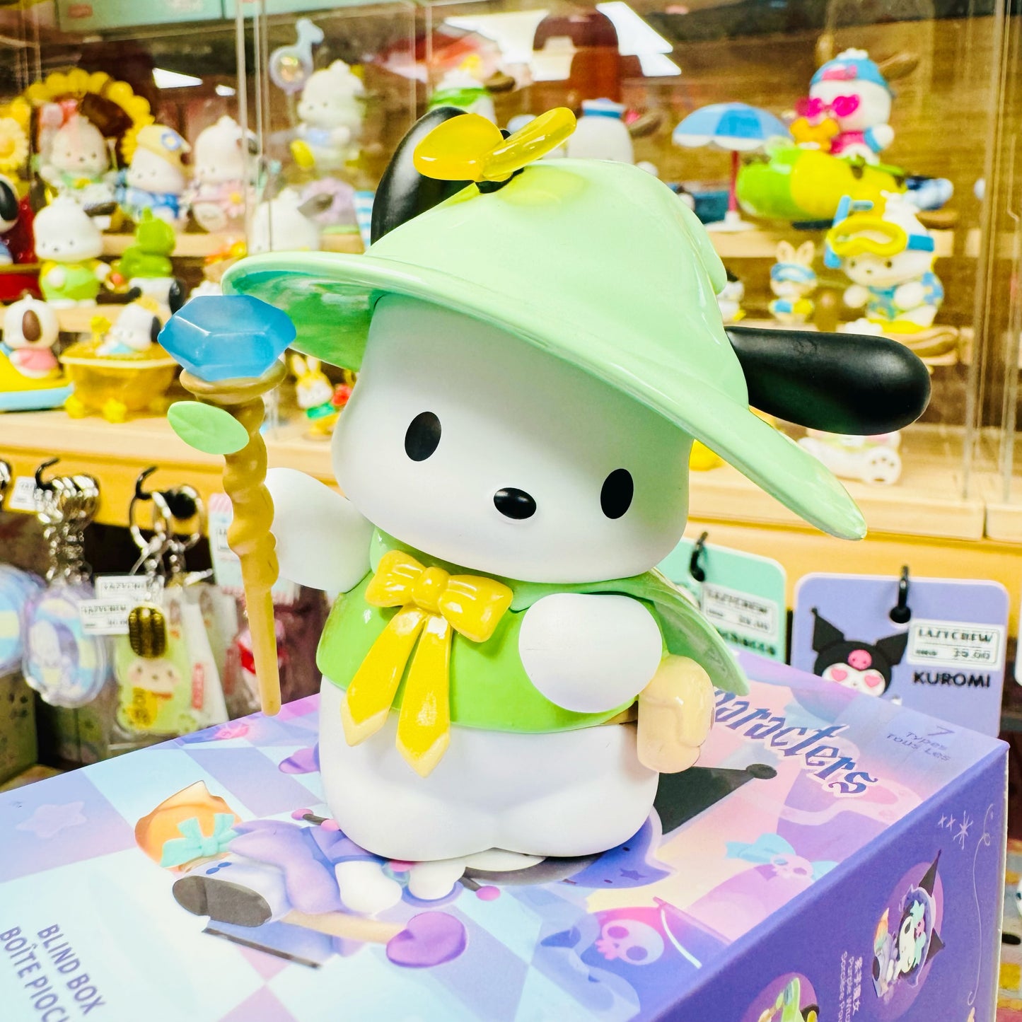 Pochacco 魔法師 Figure